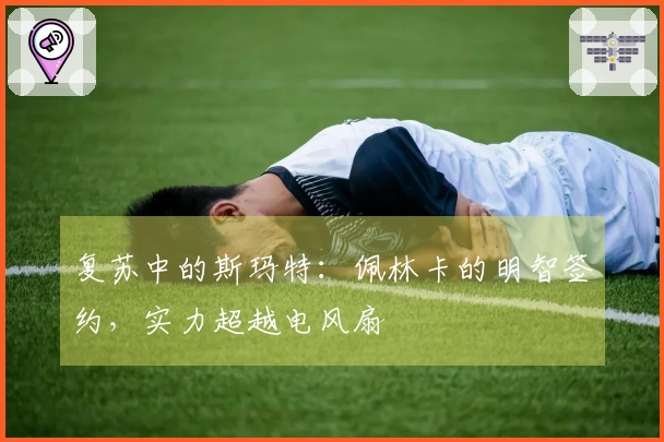 复苏中的斯玛特：佩林卡的明智签约，实力超越电风扇