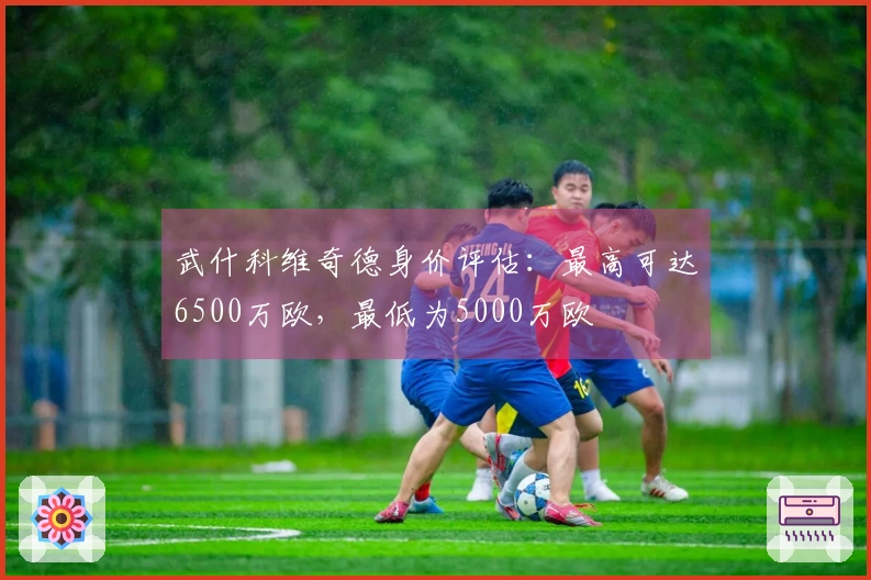 武什科维奇德身价评估：最高可达6500万欧，最低为5000万欧