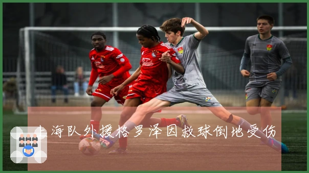 上海队外援格罗泽因救球倒地受伤